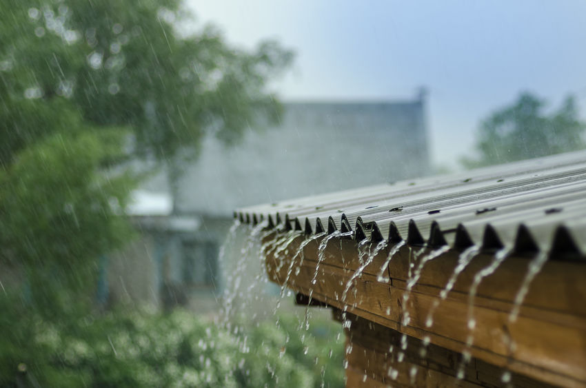 Rainy roof