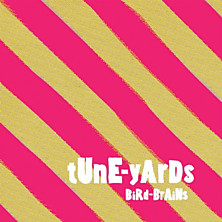 Review of BiRd-BrAiNs