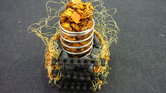 Rubber Roe