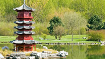 Facts about the Korean language