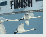 Finishing post
