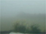 Skelton in the fog