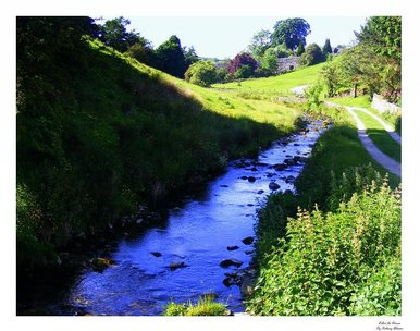 Follow the Stream