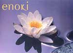 Enoki
