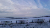 White hill