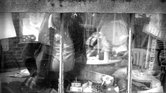 Life in a window... Life in a window...