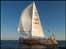 Humber Clipper crosses the finish line