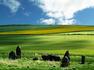 '5000 Years of Farming' by Andrew McKay