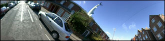 shark house