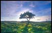 Click to view this gallery