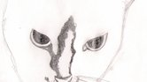 My cat Maise...