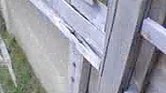 Behind the fence... Behind the fence...