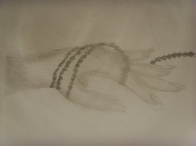 Hands