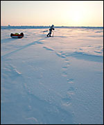 Pulling a sled