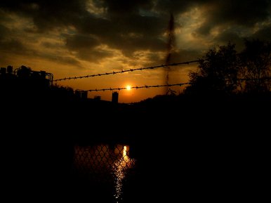 Barbed Sunset