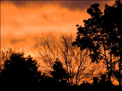 Sunrise