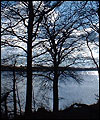 Anglezarke