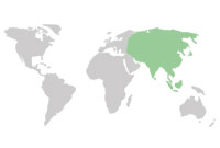 asia