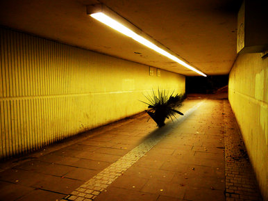 Tunnel