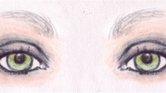 Eyes Eyes