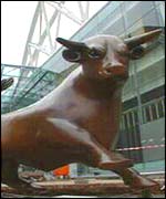 Bull
