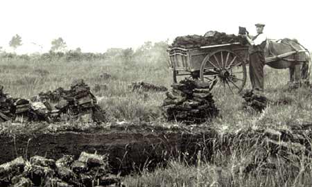 Peat digger
