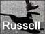 Running shoe