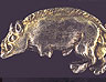 A livery badge