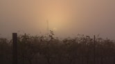 Australian sunrise...