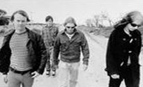 Magic Dirt