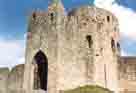 Photograph showing Trim Castle