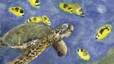 Turtle thingy...