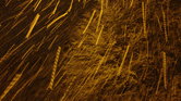 Snow Is Falling...