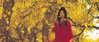 Hero (Ying Xiong)