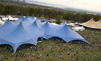 The site