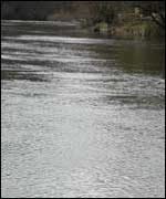 The River