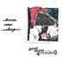 Review of Born Again Revisited