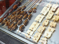 Cockroach kebab