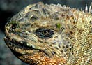 BBC News - Darwin stories