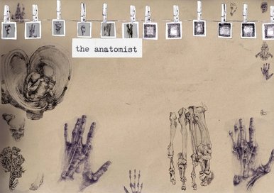 Anatomist