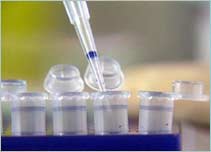 Lab testing kit