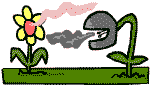 Some plants smell nicer than others