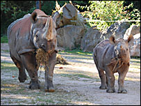 Sita and Zuri