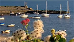 New Quay