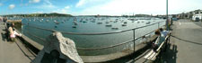 falmouth