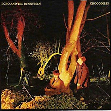 Review of Crocodiles