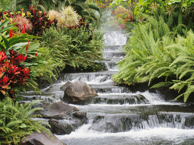 Famous waterfall!