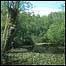Bradfield Woods c/o Steve Aylward