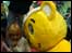 Pudsey bear