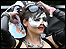 Bloodstock fan